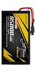 TARBG3395K06S10X.webp