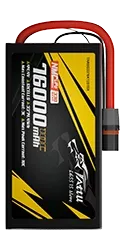 TARBG3376K12S10X.webp