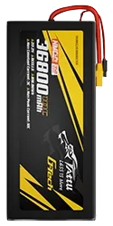 TARBG3536806S10X.webp