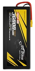TARBG3536808S10X.webp