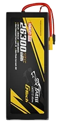 TARBG3526306S10X.webp