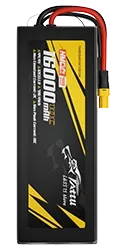TARBG4016K12S10X.webp