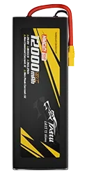 TARBG4512K08S10X.webp