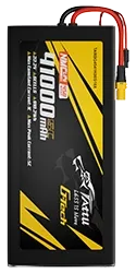 TARBG4541K06S10X.webp