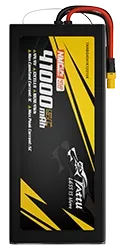 TARBG4541K12S10X.webp