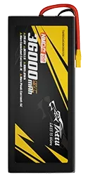 TARBG4536K08S10X.webp